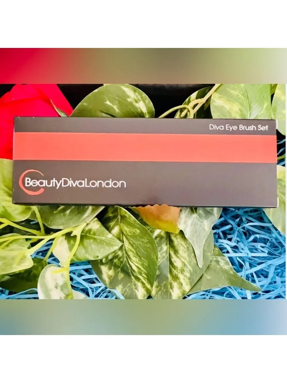 NIB Beauty Diva London Eye Brush Set in Orange